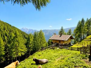 Bergbauern Alm in Ainet in Osttirol Almhuette Ainet